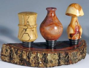 spalted mushroom bottle stopper