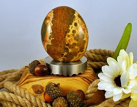 stainless meat tenderizer