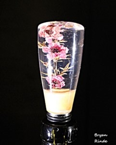 Tea Tree flower in resin